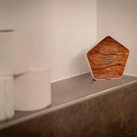 Kopfrausch Feldkirch